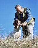 Ps plemena:  > Navarrsk oha (Navarro Pointer, Old Spanish Pointer)