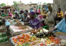 Fotky: Senegal (foto, obrazky)