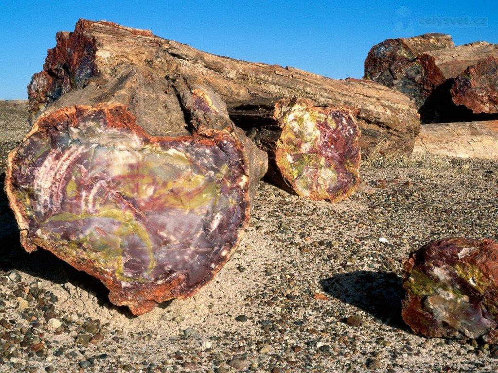 Foto: Petrified Forest National Park, Arizona