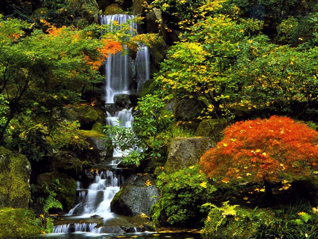 Foto: Japanese Garden, Portland, Oregon