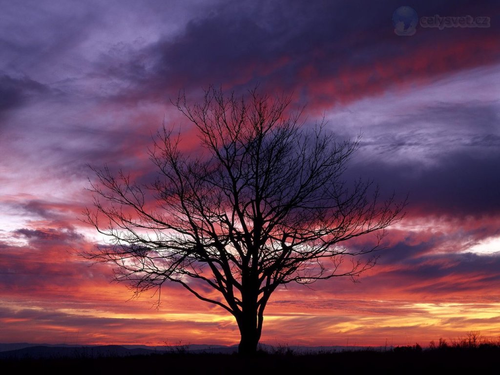 Foto: Colorful Sky, Shenandoah National Park, Virginia