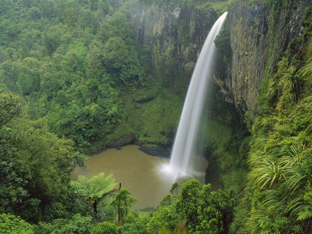 Foto: Bridal Veil Falls, Near Raglan, New Zealand