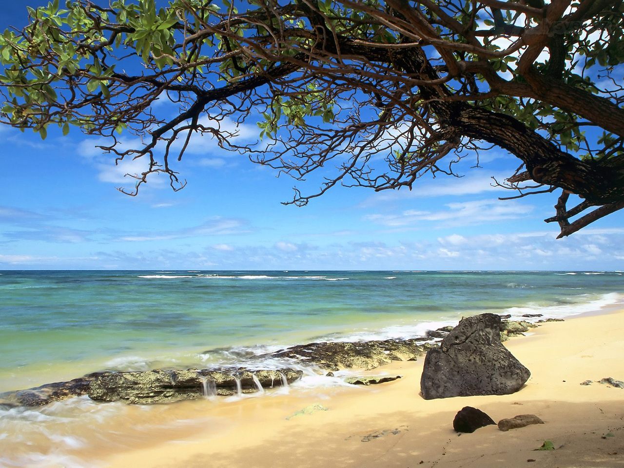 Foto: Kanenelu Beach, Oahu, Hawaii