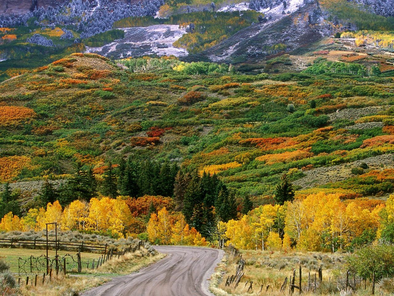 Foto: Fall Color Along The Cimarron Road, Colorado