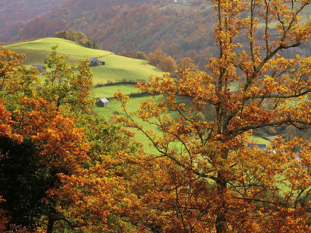 Foto: Saint Engrace In Autumn, Zuberoa, French Basque Country, France