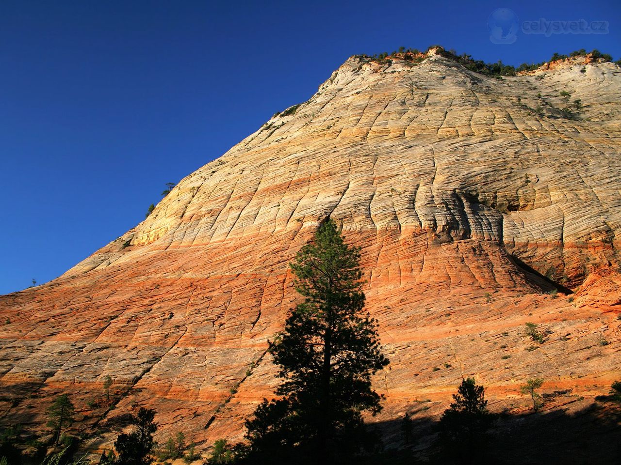 Foto: Checkerboard Mesa, Zion National Park, Utah