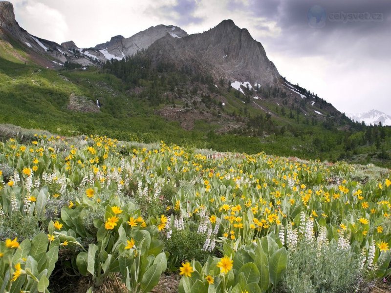 Foto: Mcgee Creek Canyon, John Muir Wilderness, California