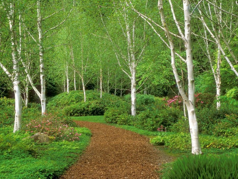 Foto: Garden Path, Bloedel Reserve, Bainbridge Island, Washington