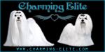 Chovatelska stanice ps: CHARMING ELITE